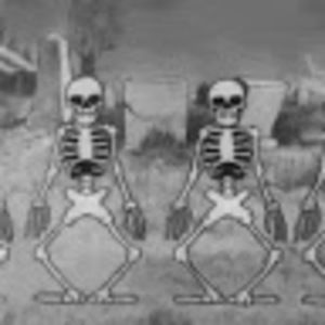 Meet your Posher, Devlin